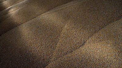 Ucrania tendrá fuerte caída en cosecha de maíz 2022 y menor superficie de siembra en 2023: ministro