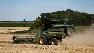 مصدرون فرنسيون يتوقعون استيراد المغرب 5 ملايين طن من القمح اللين في 2023