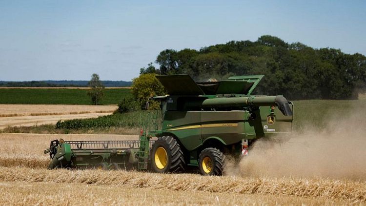 مصدرون فرنسيون يتوقعون استيراد المغرب 5 ملايين طن من القمح اللين في 2023