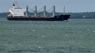 Otros siete barcos cargados de granos salen de los puertos ucranianos el domingo