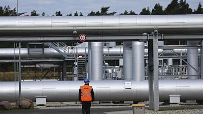Alemania trabaja para obtener más gas de sus vecinos europeos: regulador