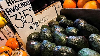 Oro verde: Aguacates mexicanos, apreciados en EEUU, alimentan un mercado multimillonario