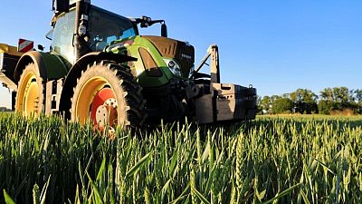 ONU presiona para que se reduzca precio de fertilizantes a nivel mundial para evitar una futura crisis