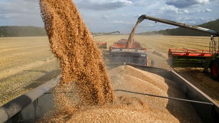 Rusia dice que cosecha anual de grano crecerá 5 millones de toneladas gracias a "nuevos territorios"