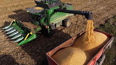 Francia recorta estimaciones de cosecha de maíz y remolacha azucarera