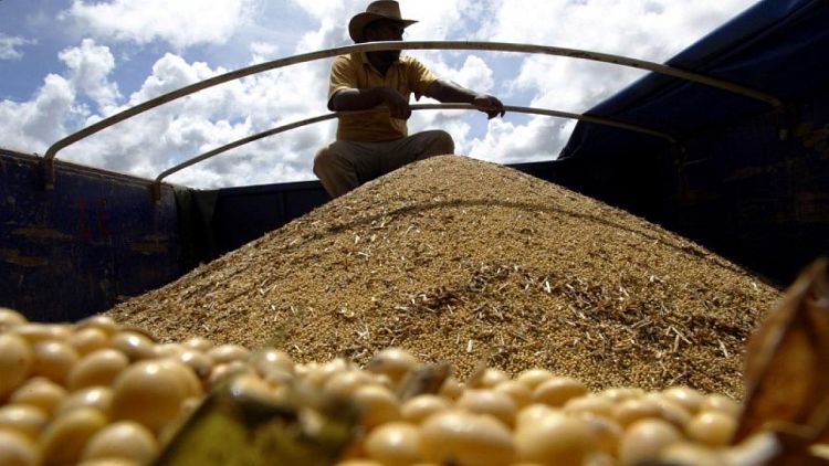 Importaciones chinas de soja procedentes de Brasil caen en octubre