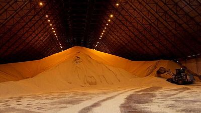 Cargill y Viterra enviarán 71.000 toneladas de soja brasileña a Argentina: datos