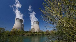 El mantenimiento de ocho reactores nucleares franceses se retrasa por huelga
