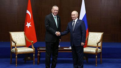 أردوغان يقول إنه اتفق مع بوتين على إنشاء مركز للغاز الطبيعي في تركيا
