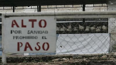 México registra el primer caso de gripe aviar H5N1 México registra el primer caso de gripe aviar H5N1