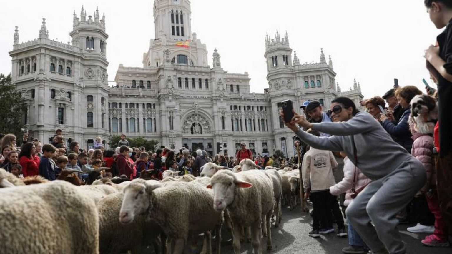 مدريد