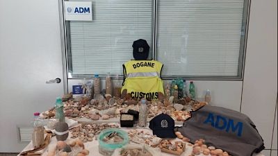 Adm, materiale recuperato nell'aeroporto di Alghero