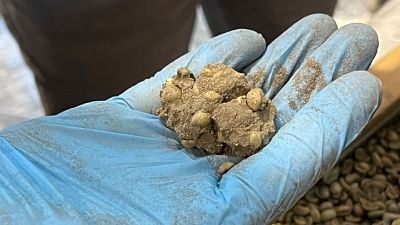 Sostanza imbarcata in Perù e giunta al Molo VII dello scalo Sostanza imbarcata in Perù e giunta al Molo VII dello scalo