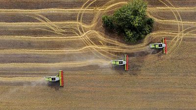 GRANOS-RUSIA-IKAR:IKAR rebaja a 84 millones de toneladas la previsión de cosecha rusa de trigo para 2023