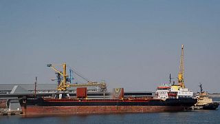 El bloqueo de los puertos podría hundir las exportaciones de alimentos de Ucrania -analista