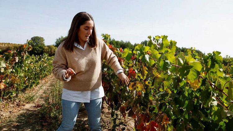 En La Rioja, las viñas viejas podrían proteger al vino del cambio climático