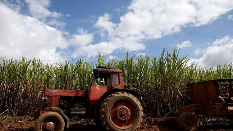 Cuba recorta planes de exportación de azúcar por pronóstico de baja producción