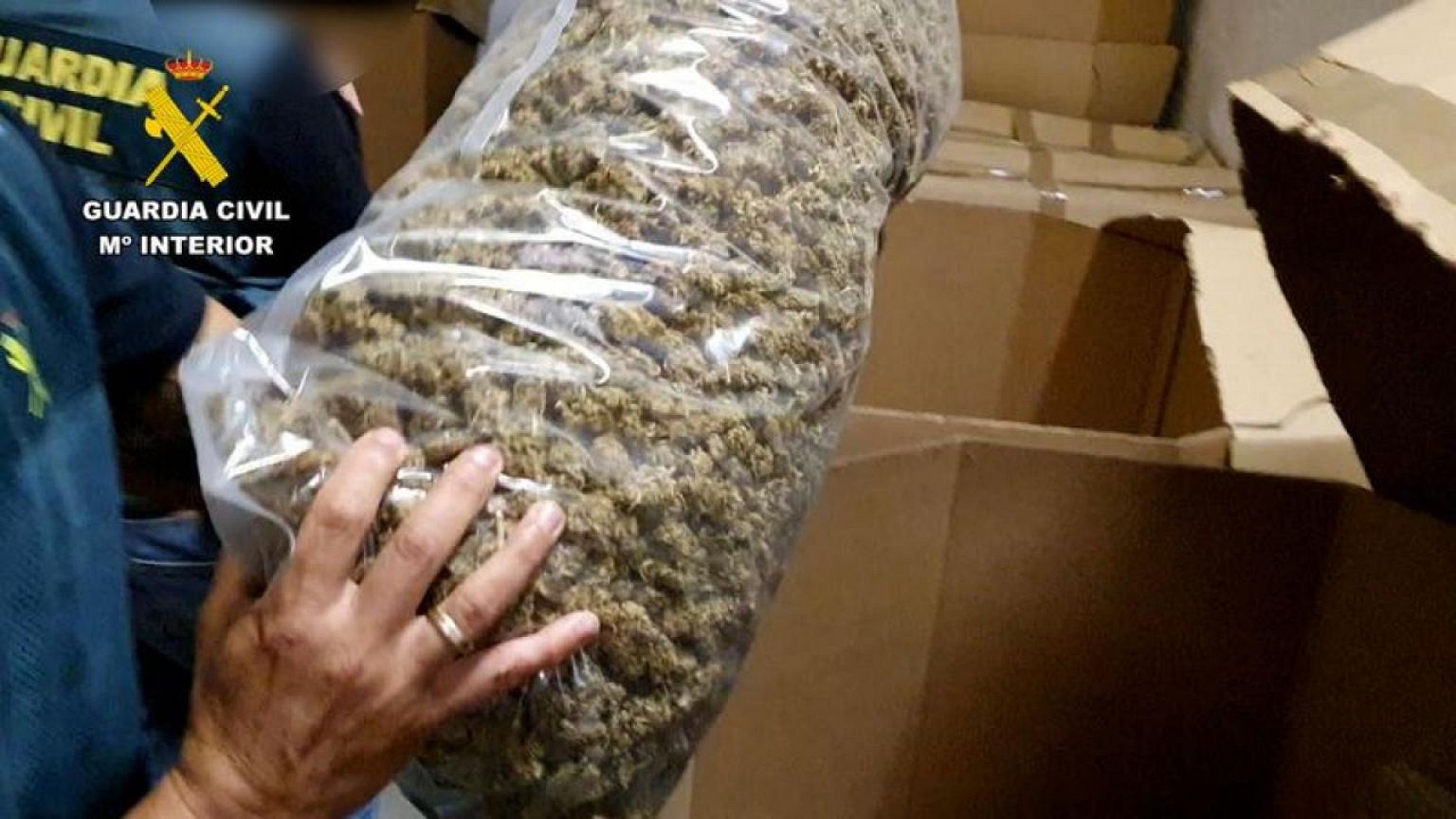 La policía española incauta la mayor cantidad de marihuana de la historia, con valor de 64 millones de dólares