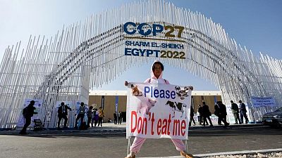 CONTEXTO-COP27: qué incluye la agenda de la cumbre climática de la ONU CONTEXTO-COP27: qué incluye la agenda de la cumbre climática de la ONU