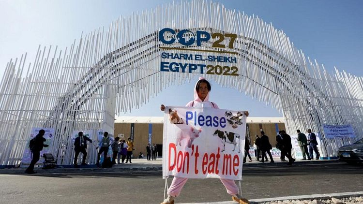 CONTEXTO-COP27: qué incluye la agenda de la cumbre climática de la ONU