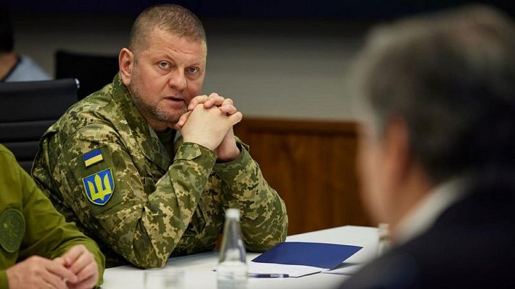 قائد الجيش: القوات الأوكرانية تتقدم في الجنوب وتسيطر على 12 تجمعا سكنيا