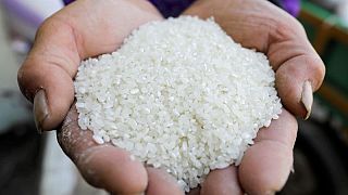 رئاسة الوزراء: مصر تقول احتياطي الأرز يكفي الاستهلاك المحلي لمدة عام