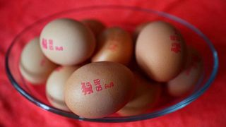 Racionamiento de huevos en algunos supermercados de Reino Unido por la gripe aviar