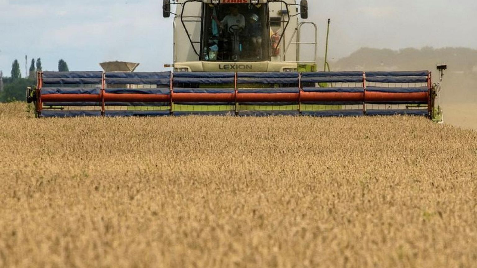 Analysis-Ukraine's sparse wheat plantings sow further trouble for global food security