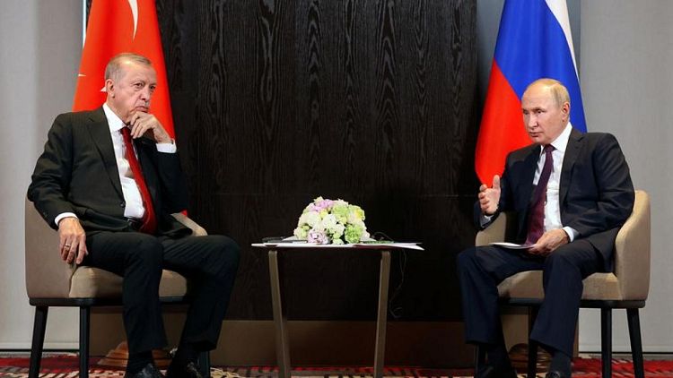 Putin debatió con Erdogan la idea de un centro neurálgico de gas en Turquía, según el Kremlin