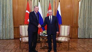 Erdogan dice que planea producir harina con trigo ruso en Turquía -Haberturk