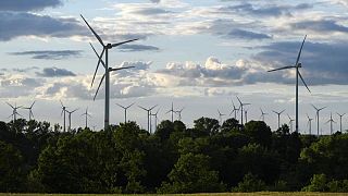Alemania estudia introducir garantías estatales para la producción de energías renovables