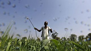 Descuentos elevan exportaciones de fertilizantes de Rusia, se convierte en principal proveedor de India: fuentes