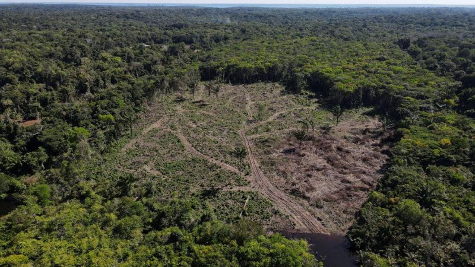 EEUU quiere sancionar a deforestadores de Brasil, endureciendo la lucha contra el cambio climático