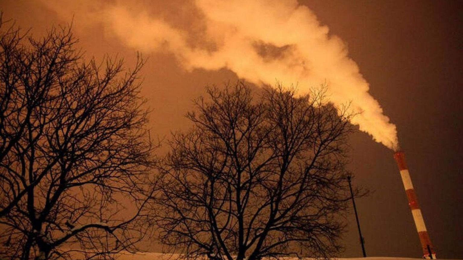 TPG carbon credit company Rubicon Carbon raising $1 billion