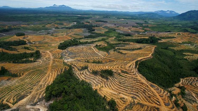 La UE aprueba una ley que impide importar productos relacionados con la deforestación
