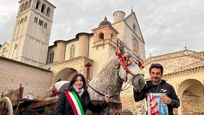 E un cavallo. Ristoratore ringrazia,ha superato difficoltà Covid E un cavallo. Ristoratore ringrazia,ha superato difficoltà Covid