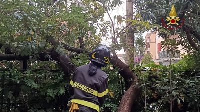 Protezione civile, rovesci in arrivo da questa sera Protezione civile, rovesci in arrivo da questa sera