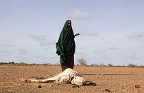 شبح مجاعة جديدة في الصومال