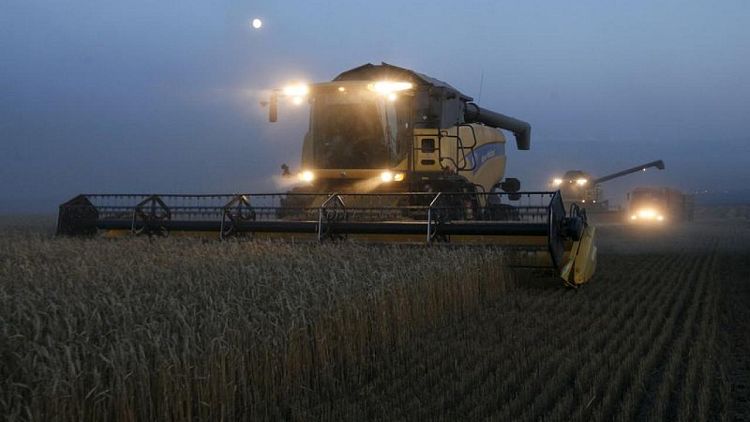 Sovecon eleva estimaciones de cosecha de trigo ruso para 2022/23