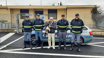 Evitati incidenti con i veicoli. Automobilisti danno l'allarme Evitati incidenti con i veicoli. Automobilisti danno l'allarme