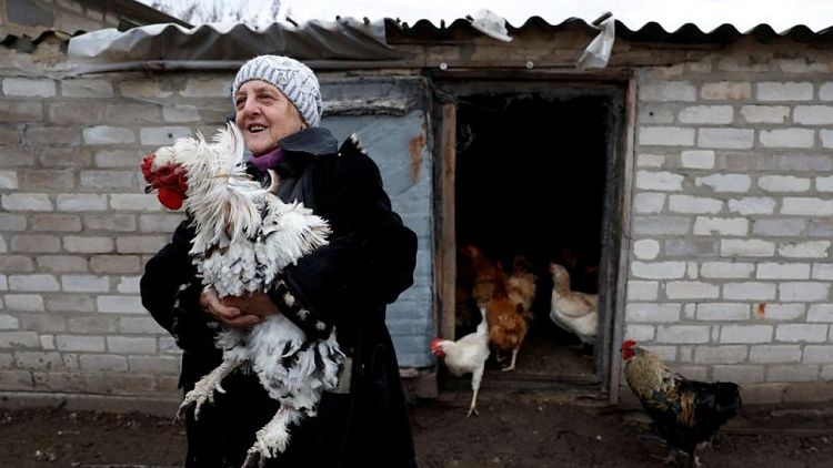 In the ruins of east Ukraine, farmers won't leave their animals