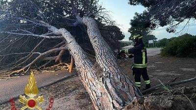 Interventi Vigili del Fuoco nel Cagliaritano e nel Sassarese