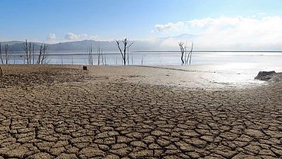 Las "peligrosas" sequías amenazan la seguridad alimentaria en Túnez