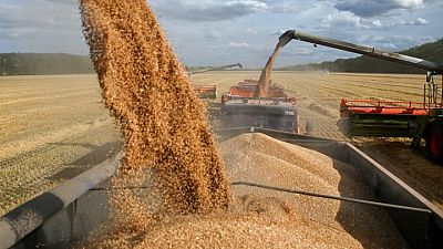 هيئة السلع التموينية بمصر تشتري 120 ألف طن من القمح الروسي في مناقصة