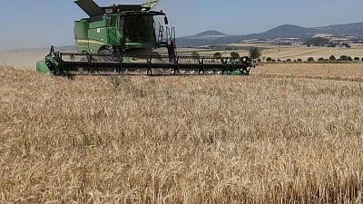 EUROPE-GRAINS:Euronext wheat eases after rally but still posts weekly gain 