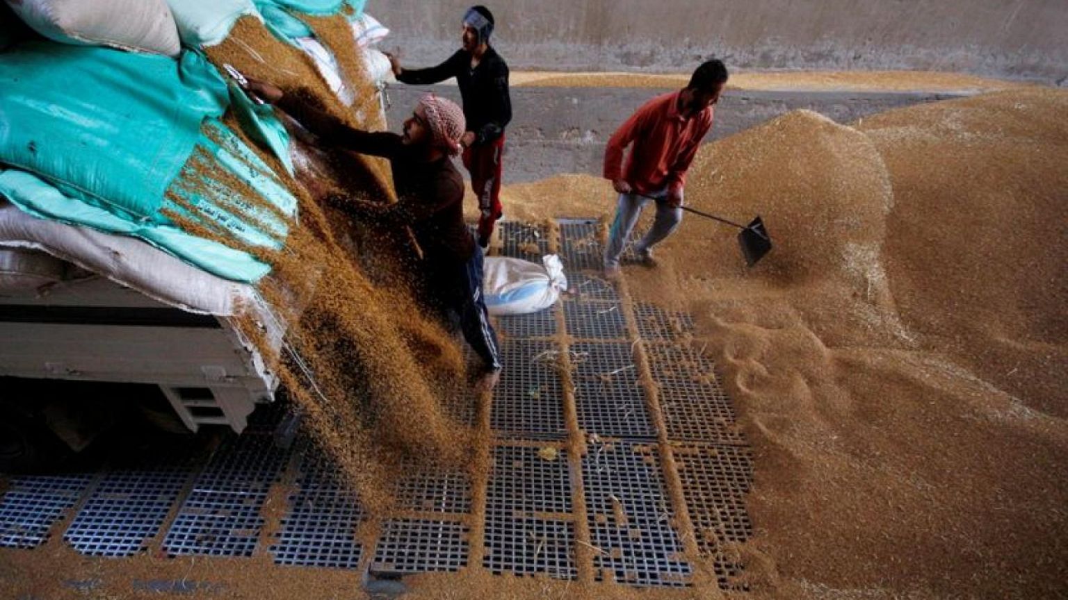 عمال يجمعون القمح في صوامع حبوب بمحافظة القليوبية في مصر 