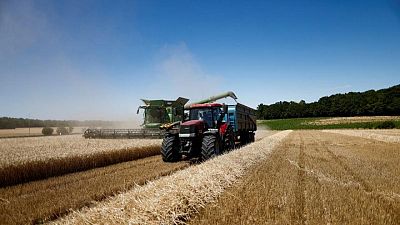 FranceAgriMer raises wheat export forecast again