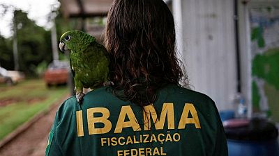 Exclusive-First Brazil logging raids under Lula aim to curb Amazon deforestation