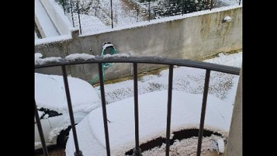 Alcune famiglie ancora senza elettricità a Desulo Alcune famiglie ancora senza elettricità a Desulo