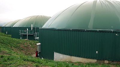 Bosnian dairy farm makes electricity from organic waste